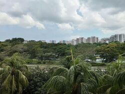 Blk 408 Pasir Ris Drive 6 (Pasir Ris), HDB Executive #551254611